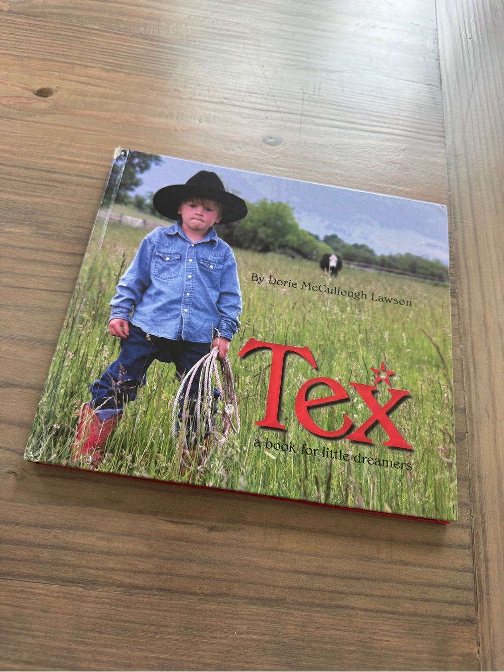 Tex Children's Picture Book - Blue Cover
